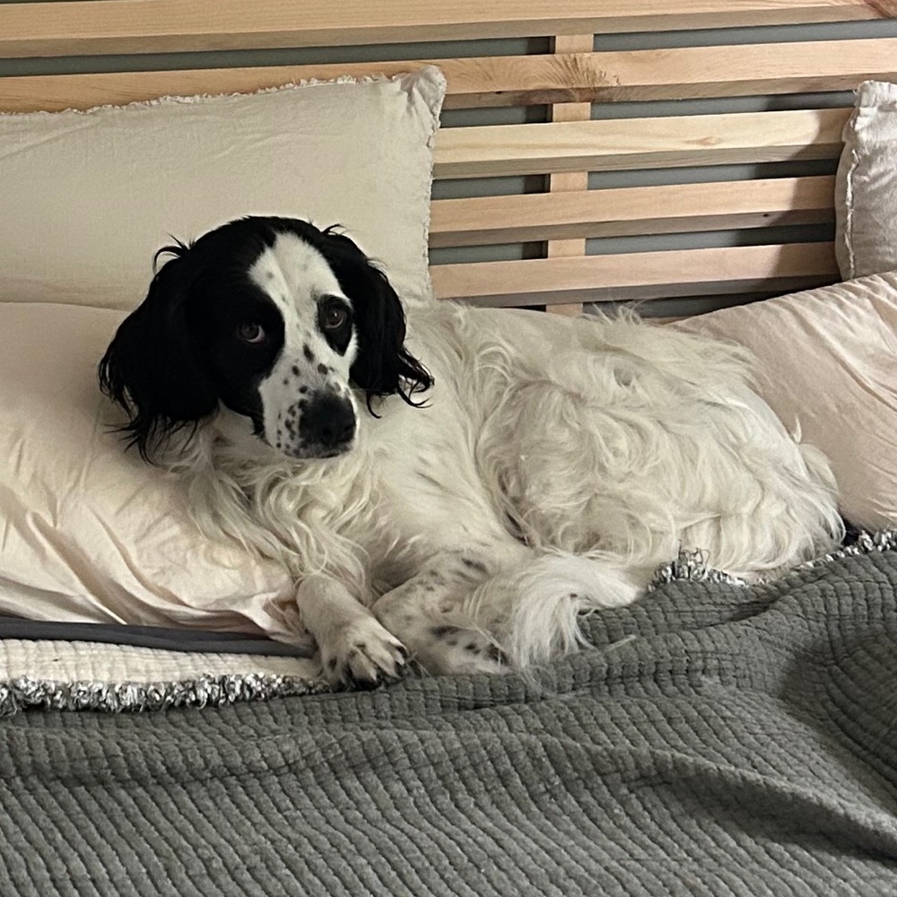 Meet your Posher, Earl